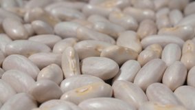 White beans close up. Macro. 4K video. Organic legumes.