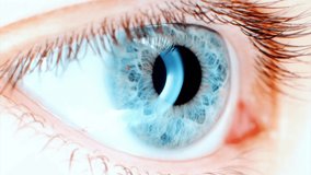 Beautiful blue human eye in macro