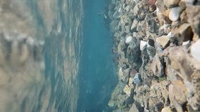 Blue underwater shot of a steam in mountain with rocks on the floor vertical video