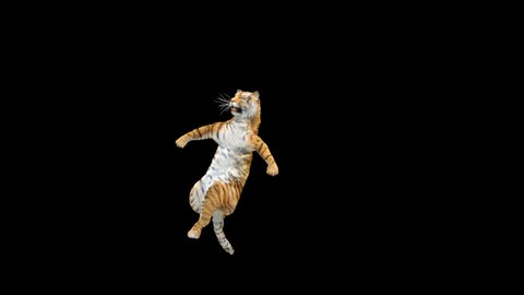 Tiger Dancing, 3d rendering, animal realistic, Included in the end of the clip with Luma matte.