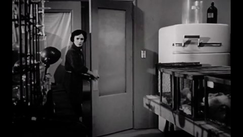 CIRCA 1959 - A woman creates a formula in a scientific laboratory that turns her into a bee person, and she attacks a scientist to drain his blood.
