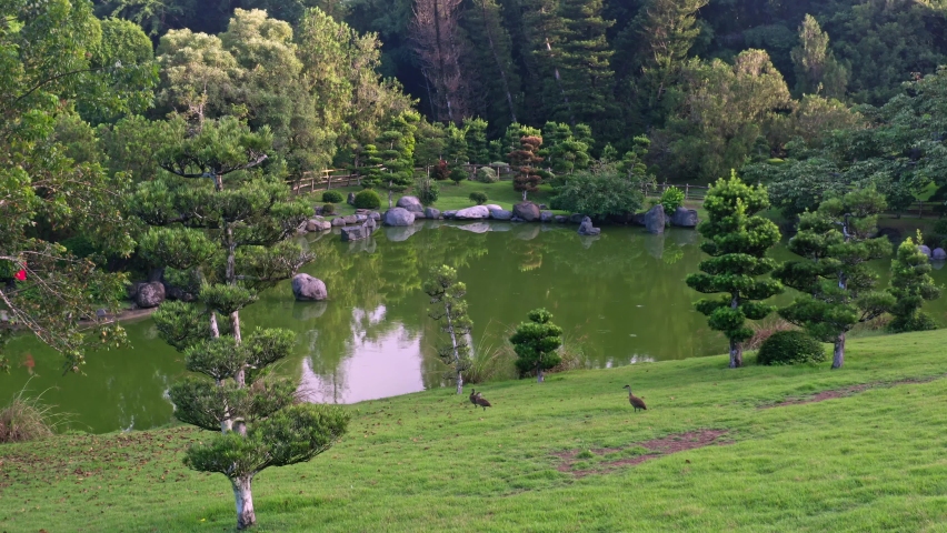 Aerial forward shot over pond in Japanese garden, Santo Domingo.