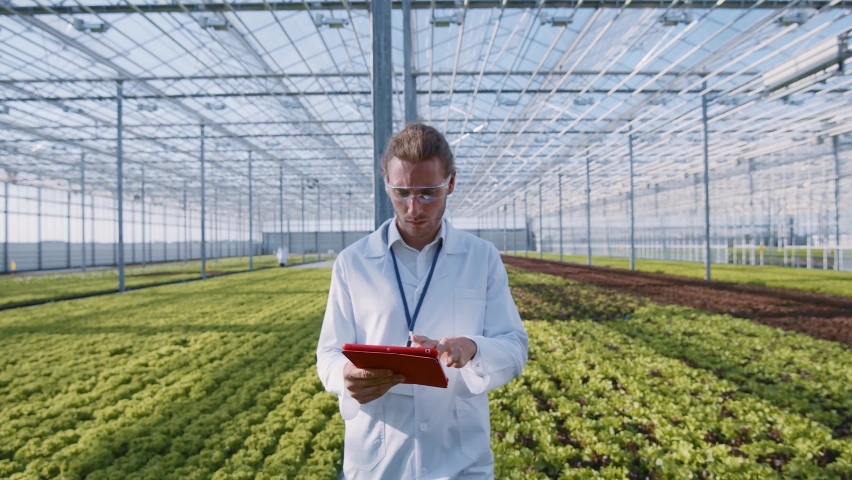 Caucasian attractive young man farmer expert browsing tablet computer applications examining green crops at greenhouse walking inside ecological organic farm garden. Royalty-Free Stock Footage #1062077701