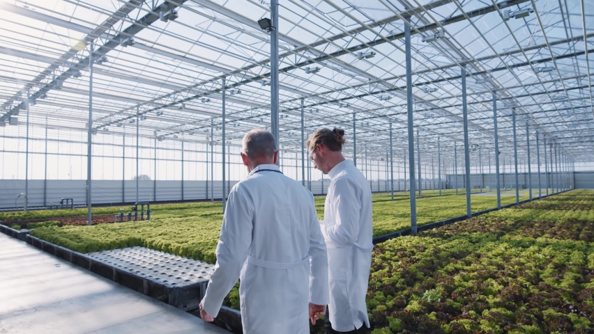 Two diverse scientific experts using tablet computer monitoring climate system at ecological modern greenhouse discussing something. Cooperation. Greenery.