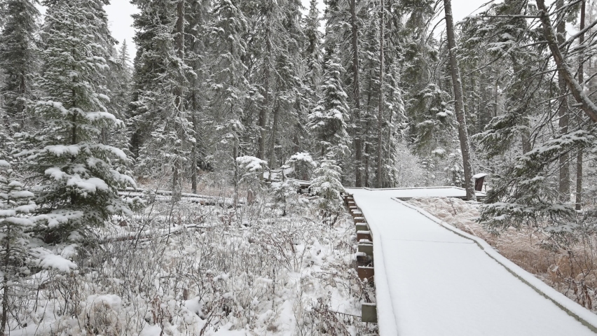 A man in a black coat walks slowly along a wooden walkway through a frozen forest.  Snow is gently falling.
