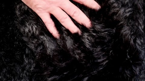 Men's hand enjoys and caresses in a rabbit fur
