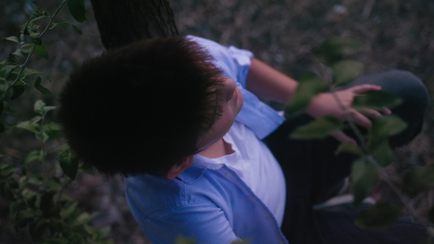 childhood memories, attractive boy sits on tree and dreamily looks up at sky and sunset, close-up
