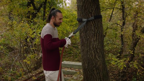 Caucasian man sets slackline between trees in the autumn forest. A man practices highlining in the autumn. 