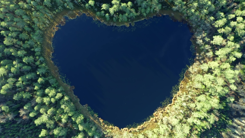 Lake in heart shape. Natural wonder from above. Love nature wonders of world concept. Meaning of life. Blue pond in green forest in aerial view flying above Royalty-Free Stock Footage #1062135058