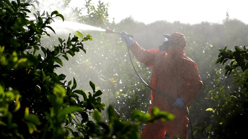 Silhouette of farmworker spraying ecological pesticide. Farmer fumigate spray pests in protective suit and mask lemon trees. Man spraying toxic pesticides, pesticide, insecticides  Royalty-Free Stock Footage #1062137971