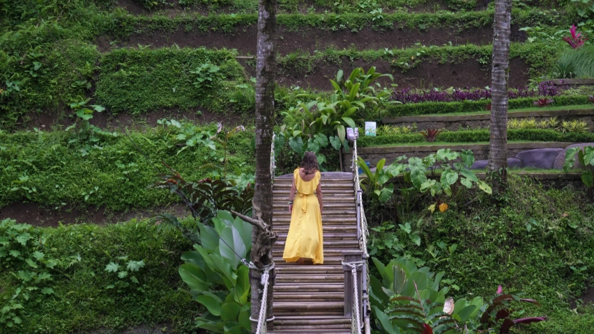 A woman in long yellow train dress climbs stairs in the Tegallalang Rice Terrace. Nature tropical background. 