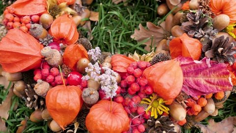 Wreath of autumn plants and berries.autumn wreath with orange physalis. florist shop