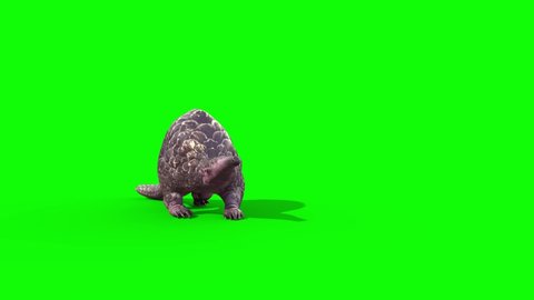 Pangolin Attacks Green Screen Front Loop 3D Rendering Animation 4K