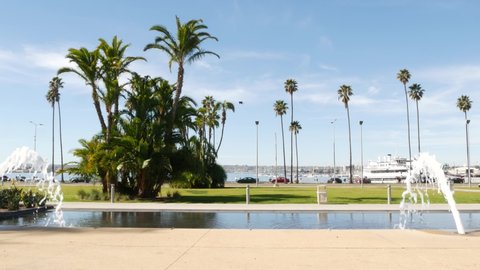 Fountain in waterfront city park near San Diego county civic center in downtown, California government authority, USA. Pacific ocean harbour, embarcadero in Gaslamp Quarter. Palms and grass near pier.