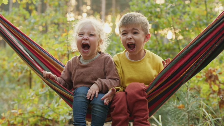 Two little children shout loudly while sitting in a hammock on vacation on the nature Royalty-Free Stock Footage #1062183040