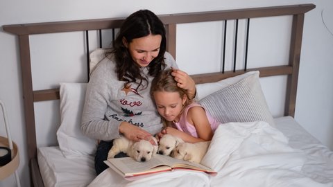 Young Mother Reading Book for her Little Daughter while Petting Cute Puppy in Bed. Three Labrador Retriever Puppies Sleeping on a Book Indoors. Pets and Animals Concept