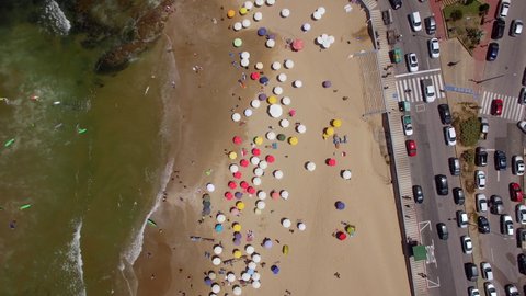 Top down aerial view of people and colourful sun umbrellas at famous Playa Brava beach during summer in Punta del Este, Uruguay. 