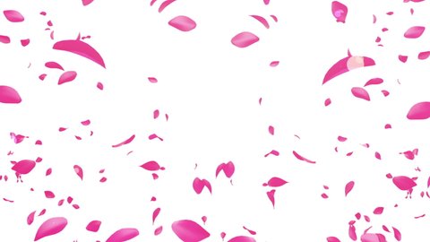 Beautiful floating rose petals background. Floating rose petals for the Valentine's Day theme.
