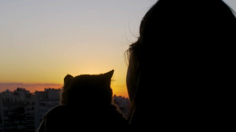 Woman with cat looks out at urban city in the distance as day turns to night Golden Hour Sunset View With Clouds 180fps