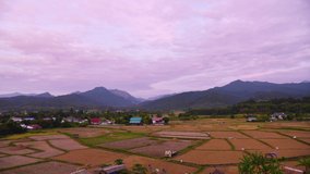 4K Timelapse Video of Rice Field with Cloud Moving at The Evening, Nan Province.