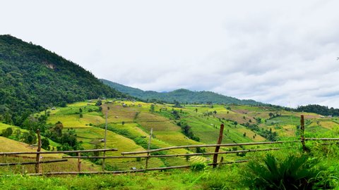 4K Timelapse Video of Pa Bong Piang Rice Terraces at Chiang Mai Province, Thailand.