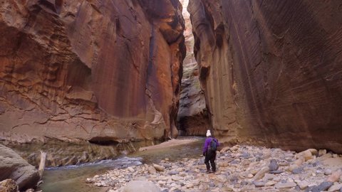 Slot Canyon with Adventurous Person Hiking in Zions National Park, Utah