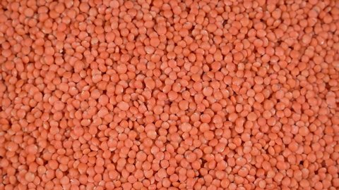 Scattered lentils are rotated on the table. High protein legumes,beans and lentils for healthy food.