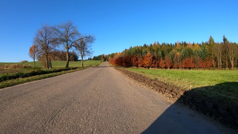 car drive in autumn landscape with fall colored trees and blue sky in sunny day. Countryside road. Fall concept