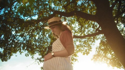 Young family walks in the summer in nature. Husband kisses his pregnant wife under a big tree. Slow motion 4K video