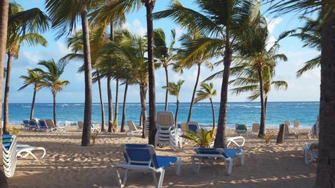 Movement along 
Sun loungers at dawn under the palm trees on the shore of tropical beach without people during a pandemic. Holidays in all-inclusive hotel on the Caribbean Sea in Dominican Republic