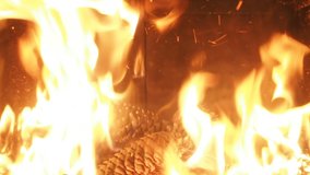 Burning Fire in natural fireplace in SLOW MOTION HD VIDEO. Branches of conifer tree burns in wild flames the natural bonfire on the meadow during the night. Detail. Half speed.
