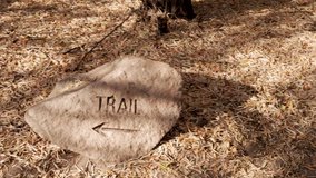 This panning video shows the top view of a navigational trail sign carved in stone for hikers in a forest.