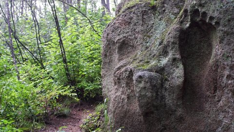 Sliding view of a stone with footpring of an ancient giant man. Russian forest