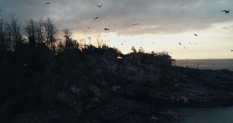sunset on the small rock island. birds fly over. drone shooting.