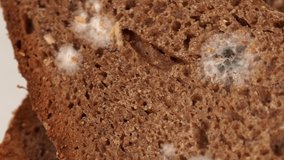 Closeup view video footage of old spoiled bread with growth of mold on its surface