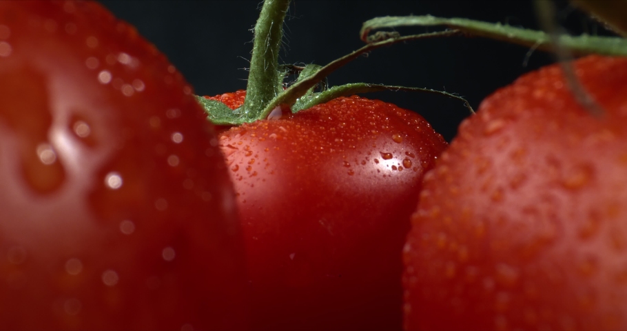 Selective focus on single tomato.Tomatoes with water drops. A bunch of wet tomatoes sprinkled with water. Black background in soft studio lighting. Footage of fresh tomatoes. Zoom out. | Shutterstock HD Video #1062273550