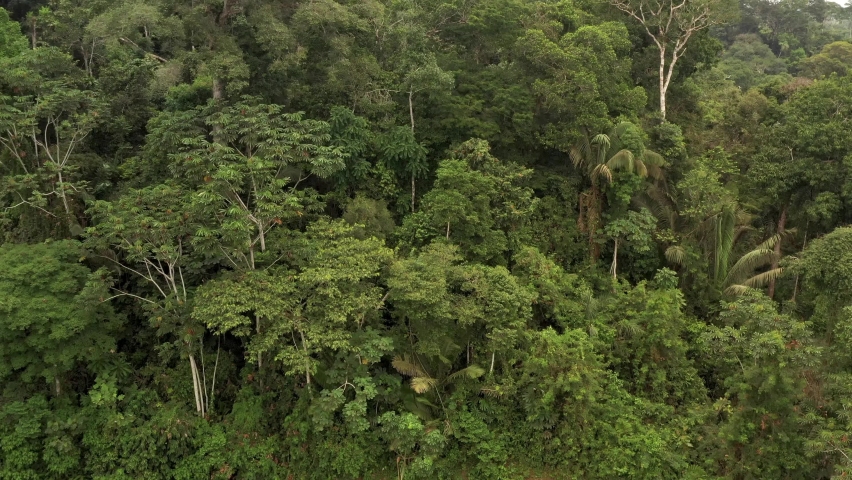 Beautiful drone aerial view of tree tops of amazon rainforest in summer sunny day. Concept of conservation, ecology, biodiversity, global warming, environment and climate change.  Royalty-Free Stock Footage #1062275527