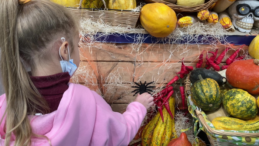 Fair of colorful pumpkins. A stall in the market with pumpkins of different shapes and colors for Halloween