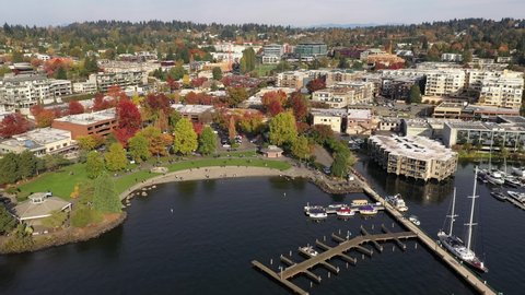 Aerial / drone footage of Kirkland, Marina Park Pavilion, Moss Bay in autumn foliage, commercial, residential suburban neighborhood near Bellevue and Seattle, King County, Pacific Northwest Washington
