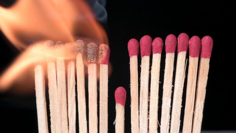 Matches in a row burning until one of them is out of the way and cuts the transmission of the fire to the next ones, a metaphor about how to stop the transmission of the coronavirus