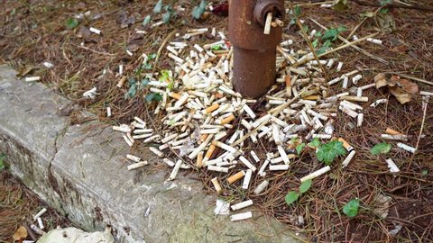 lots of cigarette butts and debris near the rusty pillar, pipes sticking out of the ground. a place to smoke. environmental garbage problem in the city. 