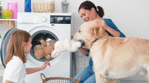 Mother with little daughter and golden retriever dog loading plush toys into washing machine at home