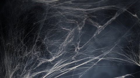 Halloween spooky spider web and fog mist smoke in the dark.