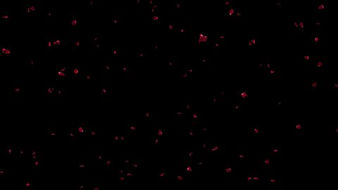 Red Rose Petal Realistic Falling with Alpha channel. 3D rendering.
2 Clips start to end and seamless loop. place on footage or background easy to change color.