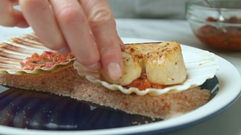 Placing freshly cooked fried scallops into a shell in a serving plate in 4K. Concept of arranging and decorating scallops into a seashell with sauce and decorative greens.