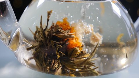 Green Chinese tea flower bud blooming in glass teapot, close-up. Tea ceremony. Slow motion. Wonderful process of flowering tea brewing. Full hd