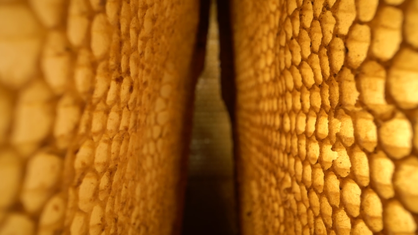 Super macro shot of uncapped honey comb. Organic beekeeping. Wax cells close up. | Shutterstock HD Video #1062397903