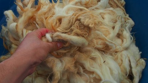 pure natural sheep wool for healthy pillow and quilt,