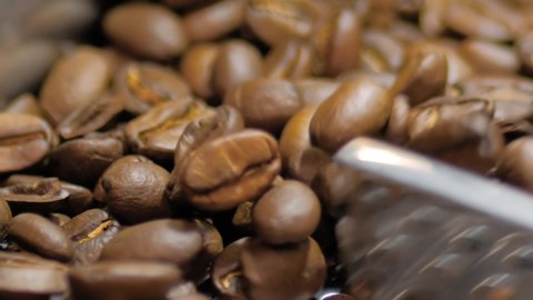 Professional coffee roaster machine during work - mixing and roasting brown coffee beans on cooling plate - slow motion, close up. Production, manufacturing, food, preparation and technology concept
