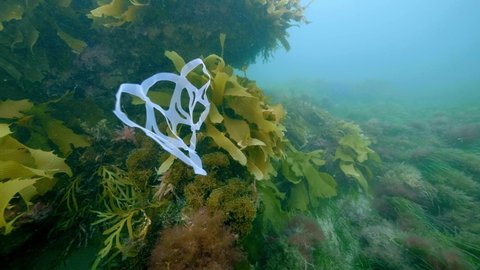 Six pack ring underwater - worlds worst plastic pollution